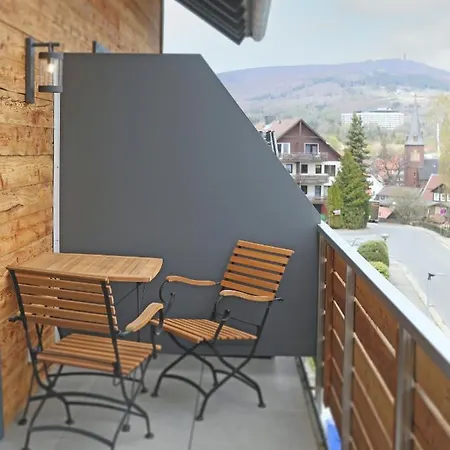 Ferienwohnung BergButzen Braunlage Exterior foto
